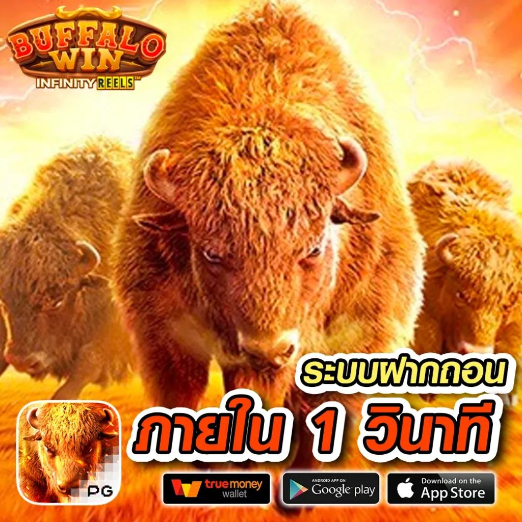 จ่ายไว jaywii เข้าสู่ระบบ เว็บตรง สล็อต ฝากถอนออโต้ ไม่ผ่านเอเย่นต์ 2026